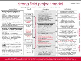 strong field project model