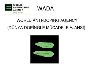 WADA