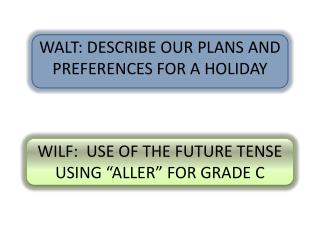WALT: DESCRIBE OUR PLANS AND PREFERENCES FOR A HOLIDAY