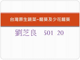 台灣原生蔬菜 ~ 龍葵及少花龍葵