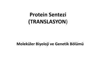 Protein Sentezi (TRANSLASYON )