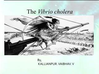 By, KALLIANPUR. VAIBHAV. V