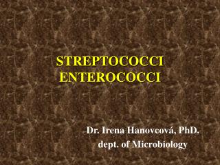 STREPTOCOCCI ENTEROCOCCI