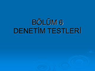 BÖLÜM 6 DENETİM TESTLERİ