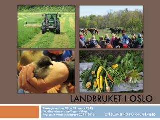 Landbruket i Oslo