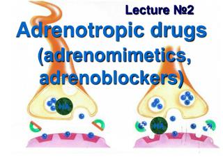Adrenotropic drugs (adrenomimetics, adrenoblockers)
