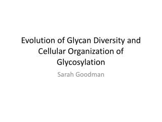 Evolution of Glycan Diversity and Cellular Organization of Glycosylation