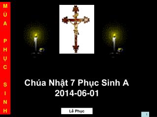 Chúa Nhật 7 Phục Sinh A 2014-06-01