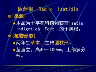 板蓝根 Radix lsatidis [ 来源 ] 本品为十字花科植物菘蓝 Isatis indigotica Fort. 的干燥根。 [ 植物形态 ]