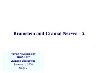 Brainstem and Cranial Nerves – 2