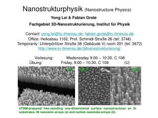 Fachgebiet 3D-Nanostrukturierung , Institut für Physik