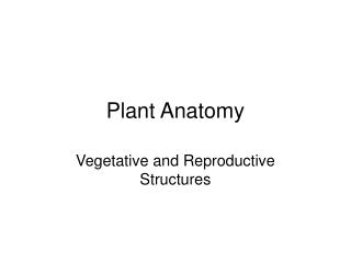 Plant Anatomy