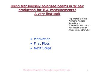 Using transversely polarised beams in W pair production for TGC measurements? A very first look