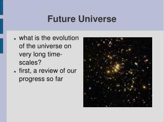 Future Universe
