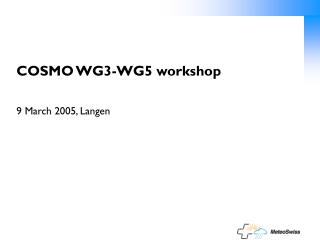 COSMO WG3-WG5 workshop