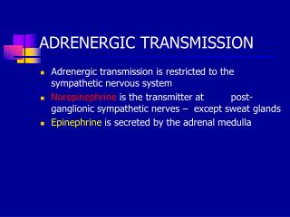 ADRENERGIC TRANSMISSION