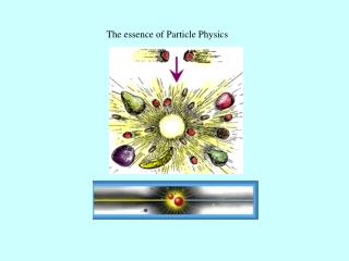 The essence of Particle Physics