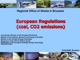 European Regulations (coal, CO2 emissions)