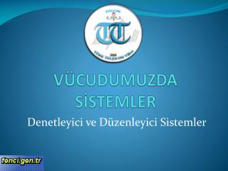 VÜCUDUMUZDA SİSTEMLER