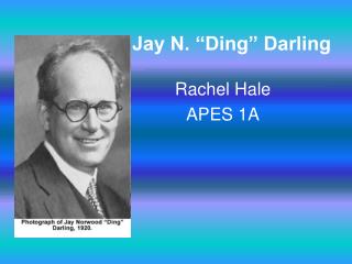 Jay N. “Ding” Darling