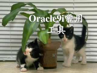 Oracle9i常用工具