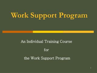 Work Support Program