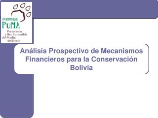 Análisis Prospectivo de Mecanismos Financieros para la Conservación Bolivia