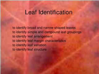 Leaf Identification