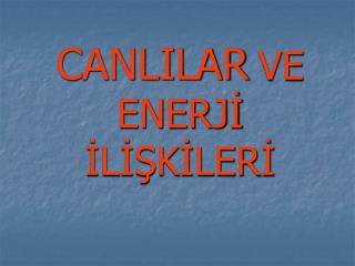 CANLILAR VE ENERJİ İLİŞKİLERİ