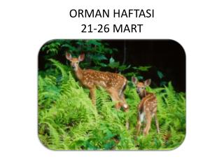 ORMAN HAFTASI 21-26 MART