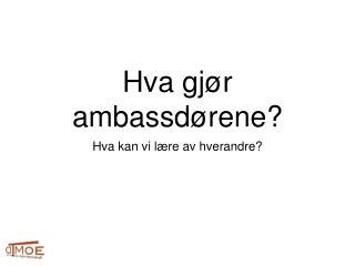 Hva gjør ambassdørene?