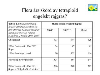 Flera års skörd av tetraploid engelskt rajgräs?