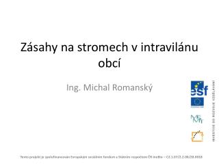 Zásahy na stromech v intravilánu obcí