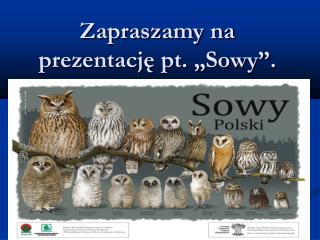 Zapraszamy na prezentację pt. „Sowy”.