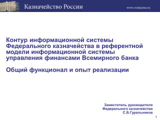 Заместитель руководителя Федерального казначейства С.Б.Гуральников