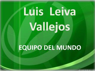 Luis Leiva Vallejos