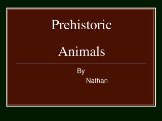 Prehistoric Animals