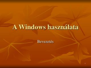 A Windows használata