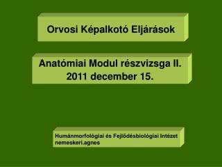 Orvosi Képalkotó Eljárások