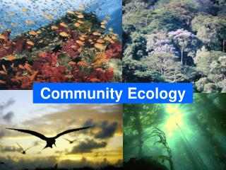 Community Ecology