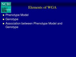 Elements of WGA