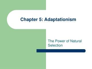 Chapter 5: Adaptationism