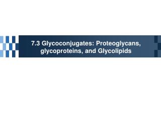 7.3 Glycoconjugates: Proteoglycans, glycoproteins, and Glycolipids
