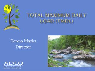 Total Maximum Daily LOAD (TMDL)