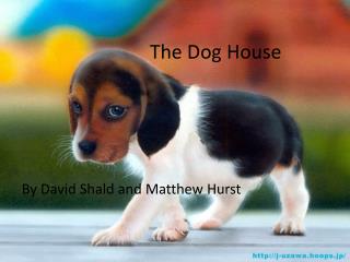 The Dog House