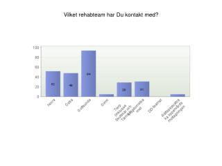 Vilket rehabteam har Du kontakt med?