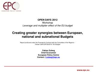 OPEN DAYS 2012 Workshop Leverage and multiplier effect of the EU budget