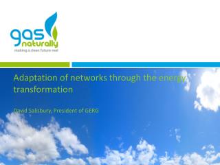 Adaptation of networks through the energy transformation David Salisbury, President of GERG