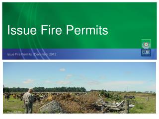 Issue Fire Permits