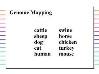 Genome Mapping 	cattle	swine sheep	horse dog	chicken cat	turkey human	mouse